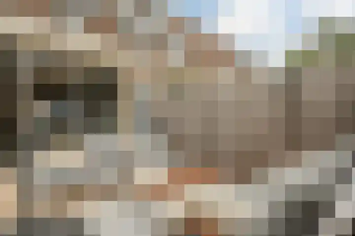 Bloemenschans 65 Voorhout thumbnail 32
