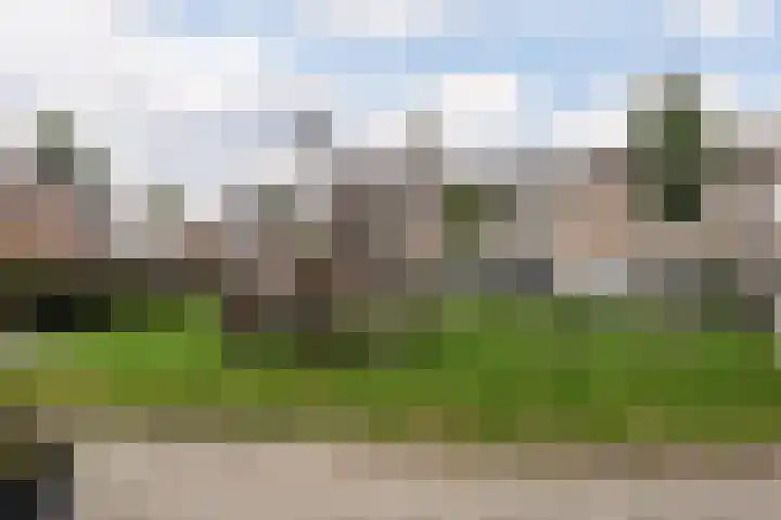 Bloemenschans 65 Voorhout thumbnail 35