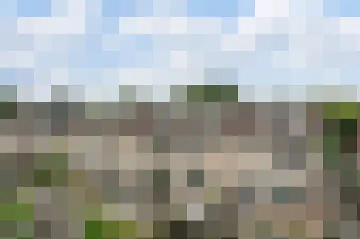 Bloemenschans 65 Voorhout thumbnail 6