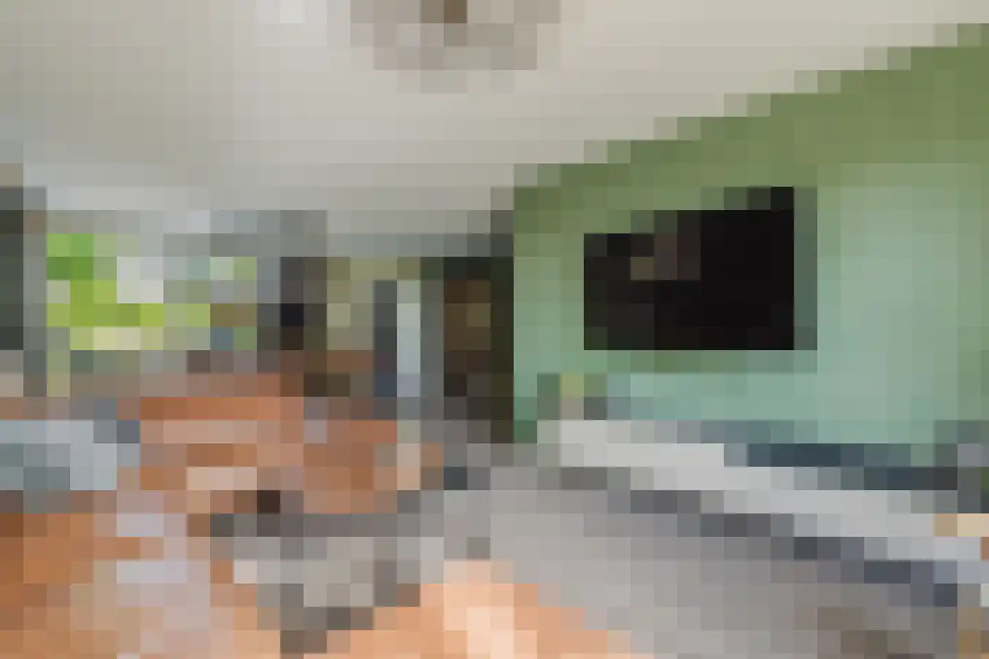 Bloemenstee 10 Klein Zundert thumbnail 11