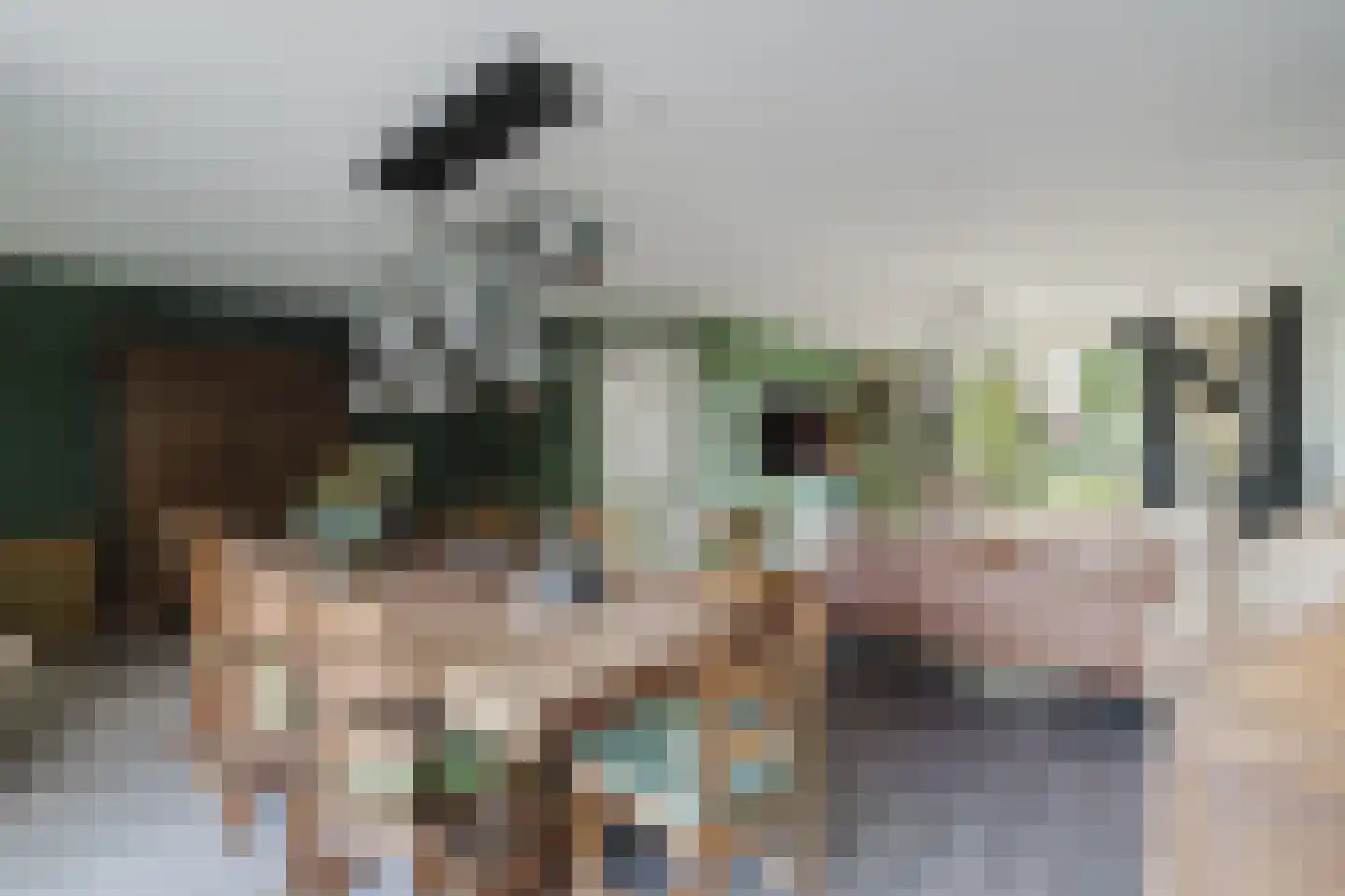 Bloemenstee 10 Klein Zundert thumbnail 13