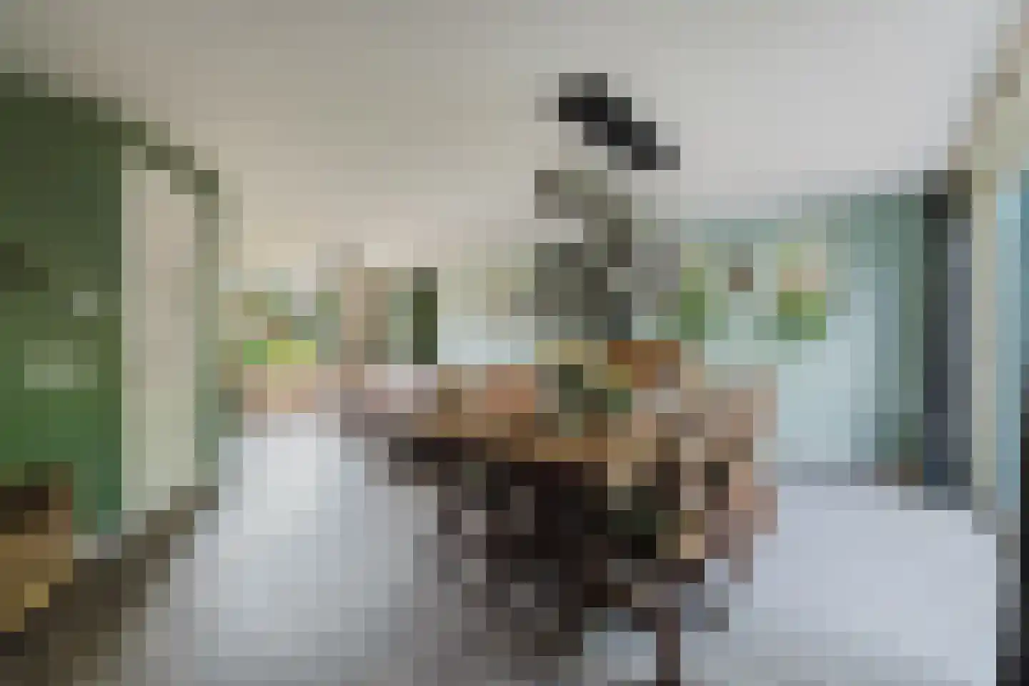 Bloemenstee 10 Klein Zundert thumbnail 14