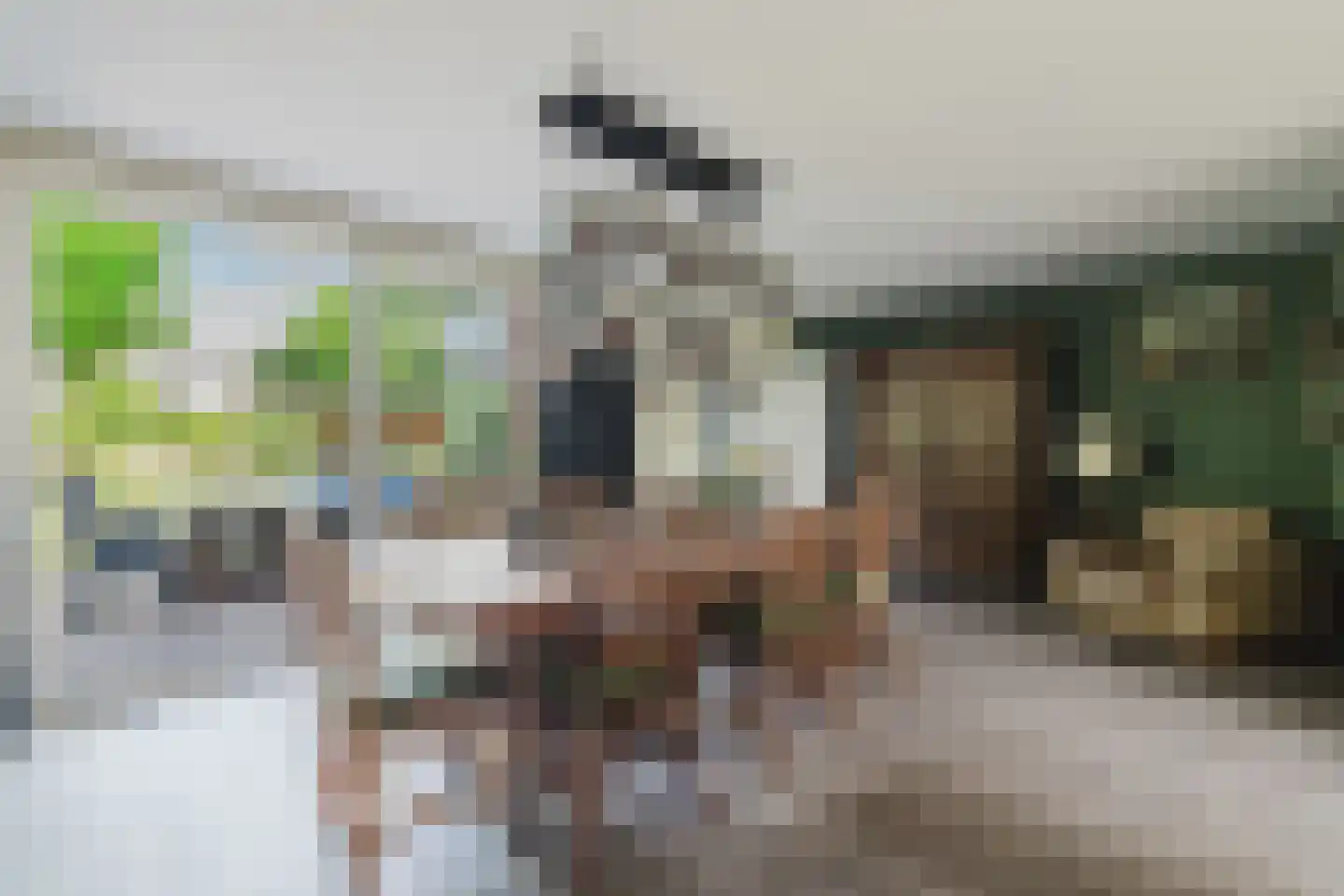 Bloemenstee 10 Klein Zundert thumbnail 15