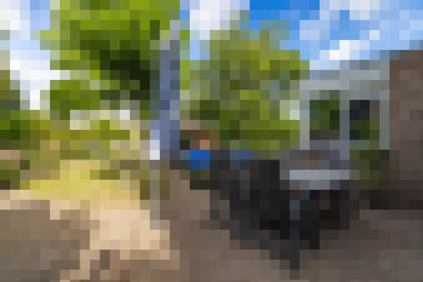 Bloemenstee 10 Klein Zundert thumbnail 42