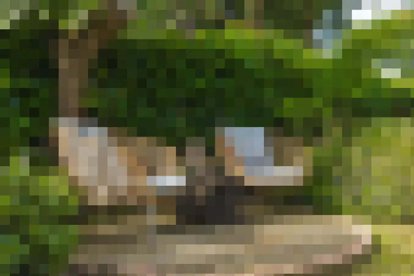 Bloemenstee 10 Klein Zundert thumbnail 44