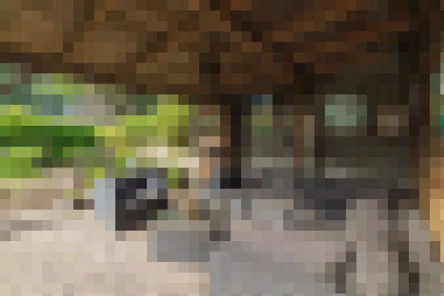 Bloemenstee 10 Klein Zundert thumbnail 47