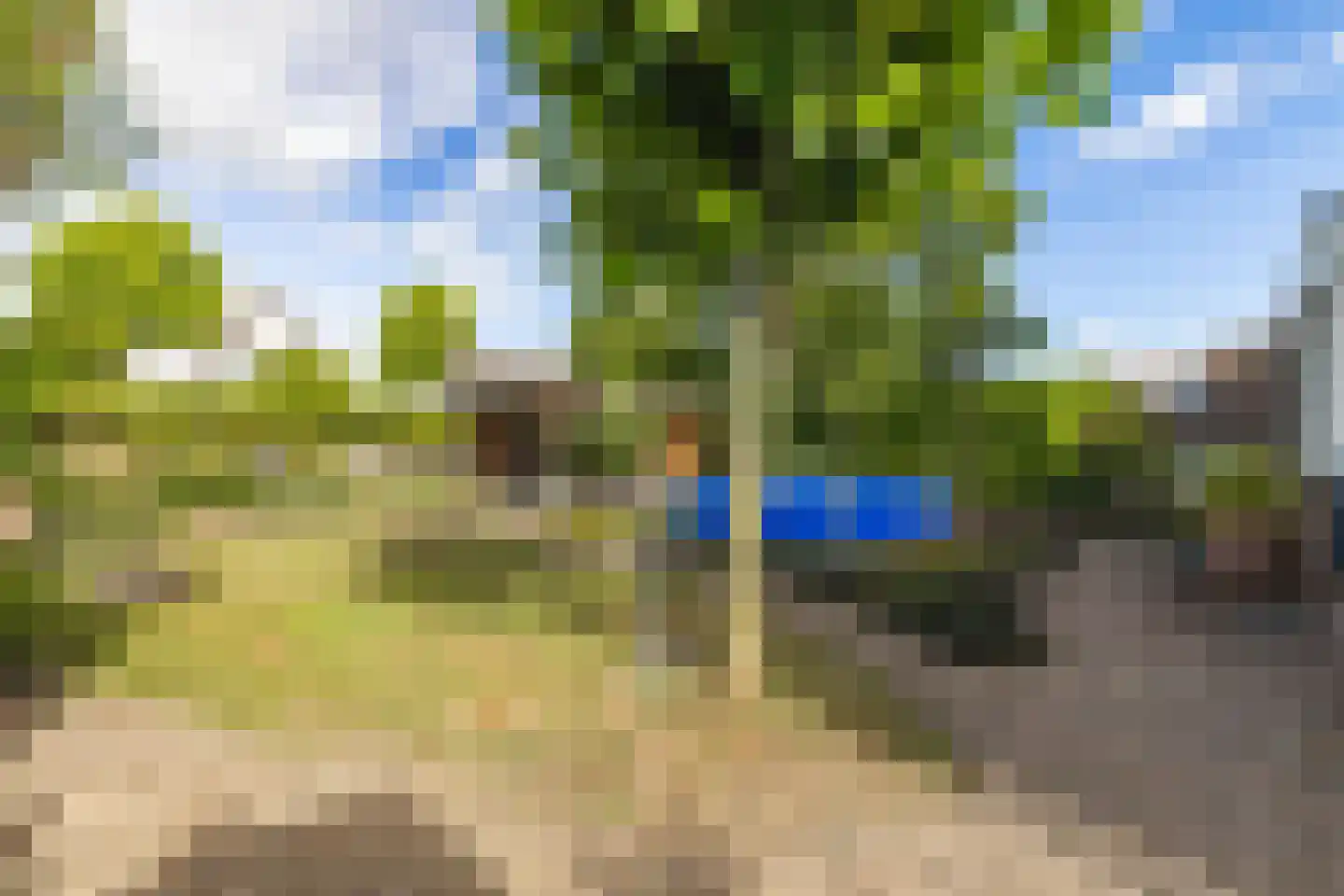 Bloemenstee 10 Klein Zundert thumbnail 5