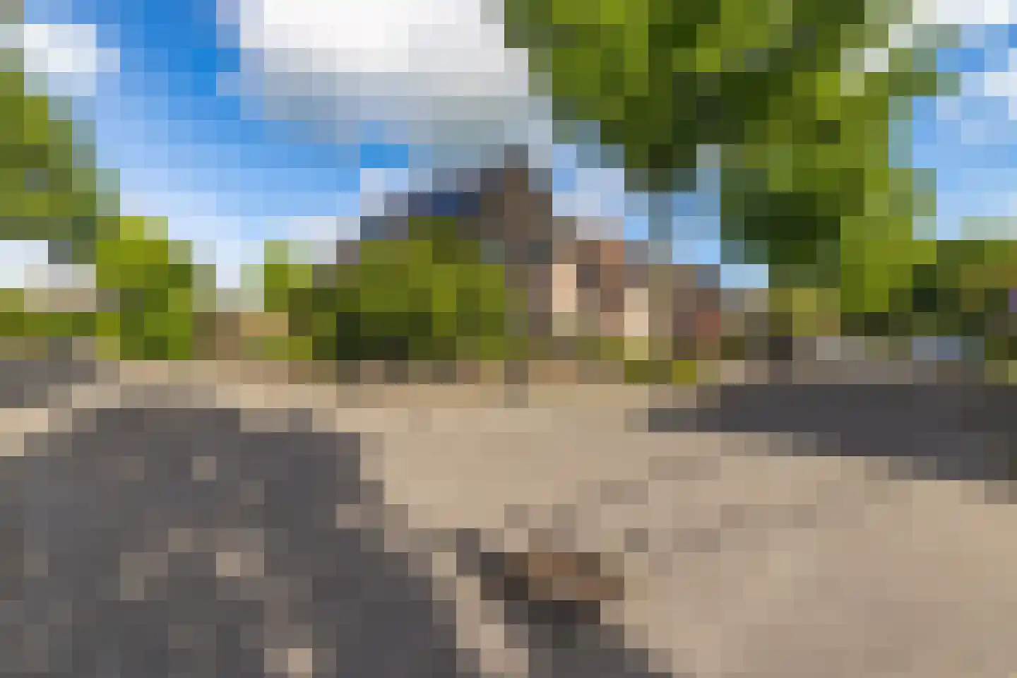 Bloemenstee 10 Klein Zundert thumbnail 8