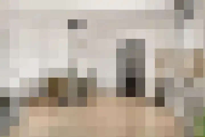 Bloemenstraat 1 Poeldijk thumbnail 11
