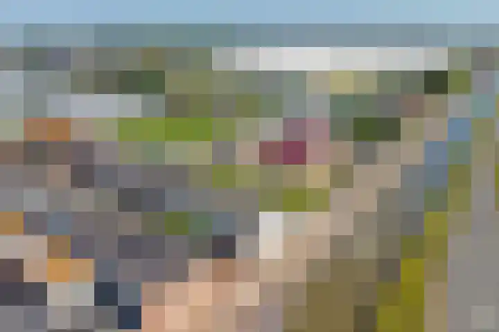 Bloemenstraat 1 Poeldijk thumbnail 33