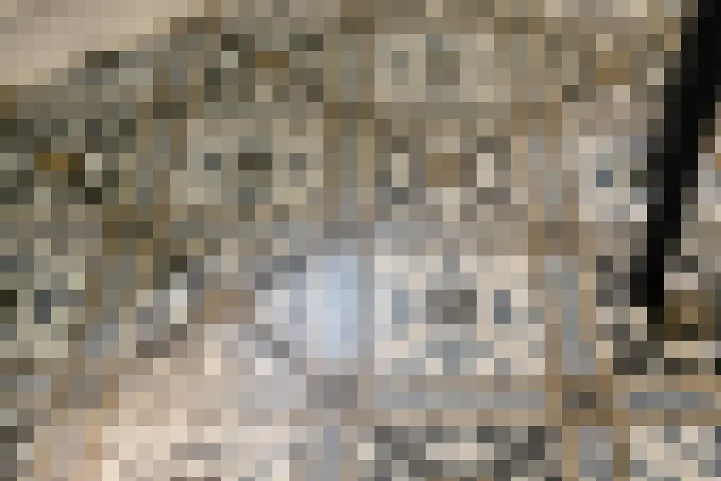 Bloemenstraat 1 Ridderkerk thumbnail 22