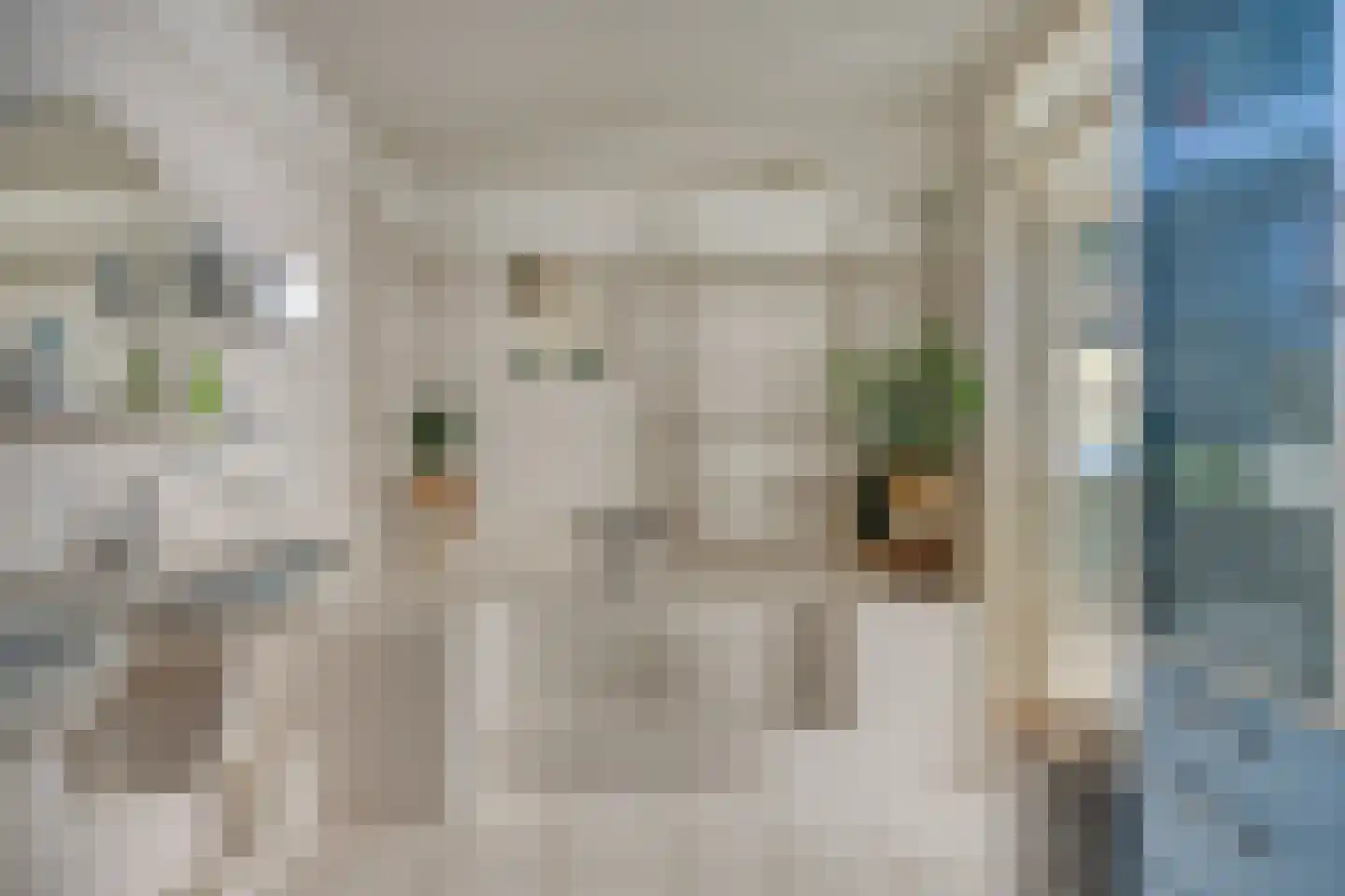 Bloemenstraat 1 Ridderkerk thumbnail 36