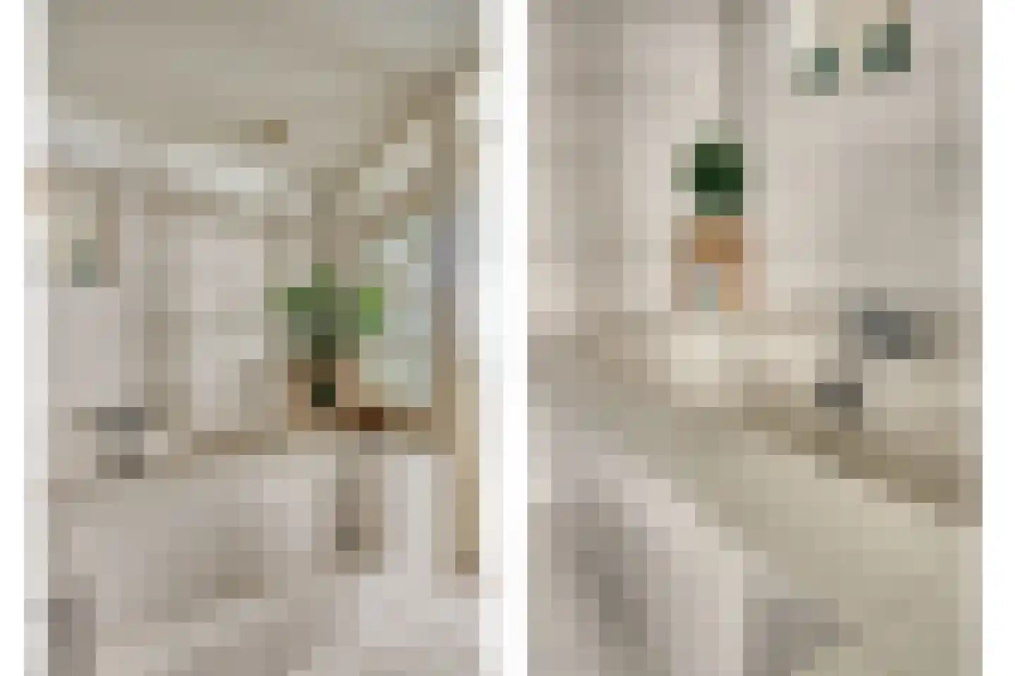 Bloemenstraat 1 Ridderkerk thumbnail 37