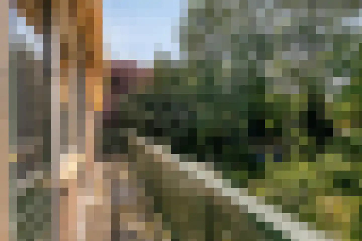 Bloemenstraat 1 Ridderkerk thumbnail 39