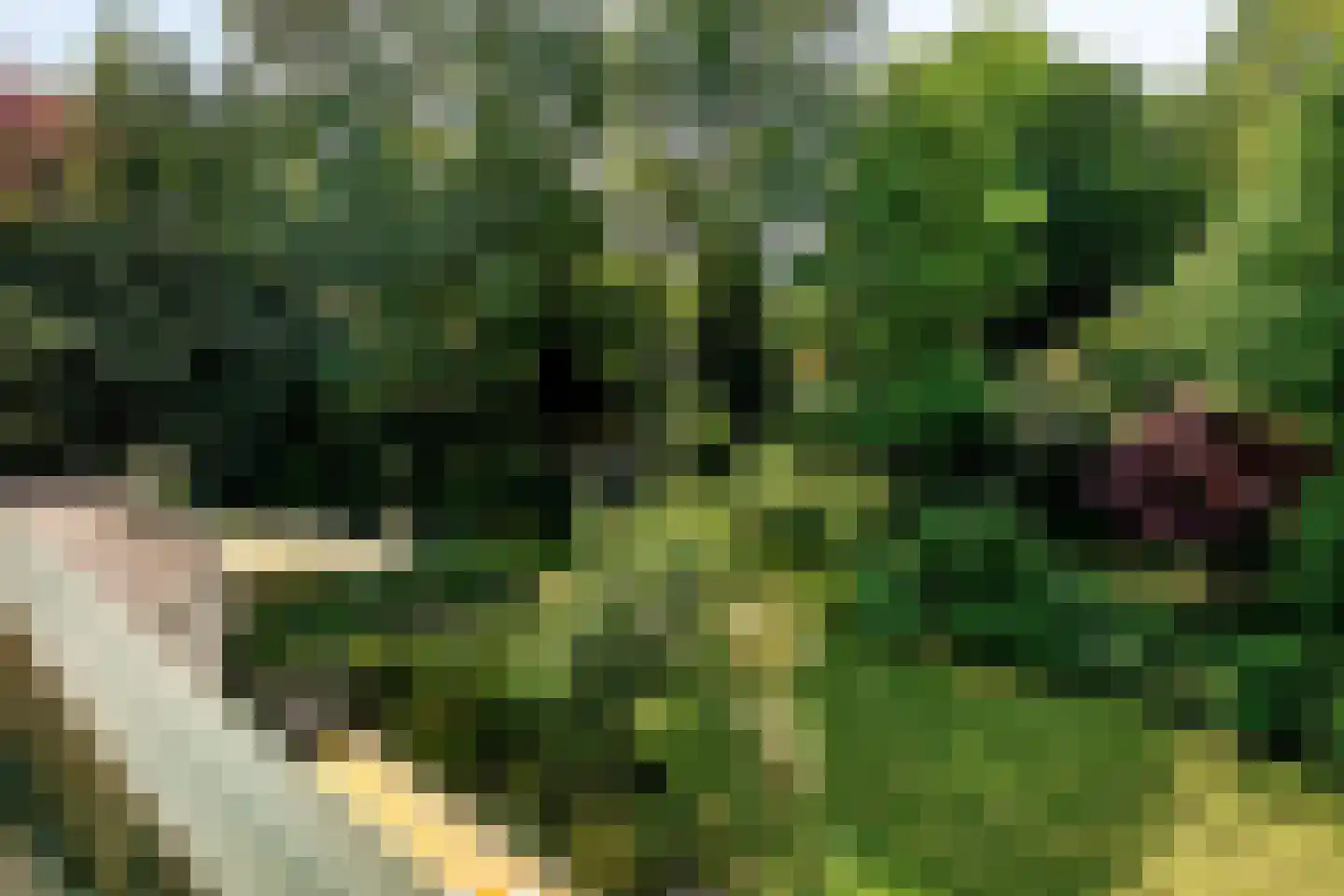 Bloemenstraat 1 Ridderkerk thumbnail 40