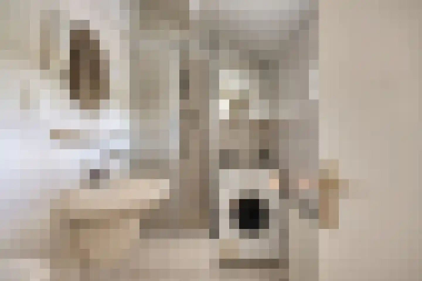 Bloemenstraat 1 Ridderkerk thumbnail 47