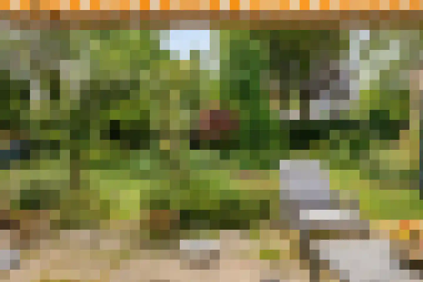Bloemenstraat 1 Ridderkerk thumbnail 70