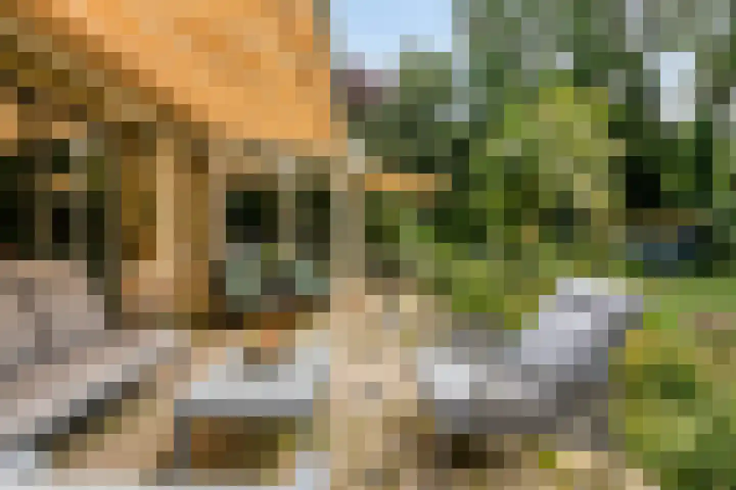 Bloemenstraat 1 Ridderkerk thumbnail 72