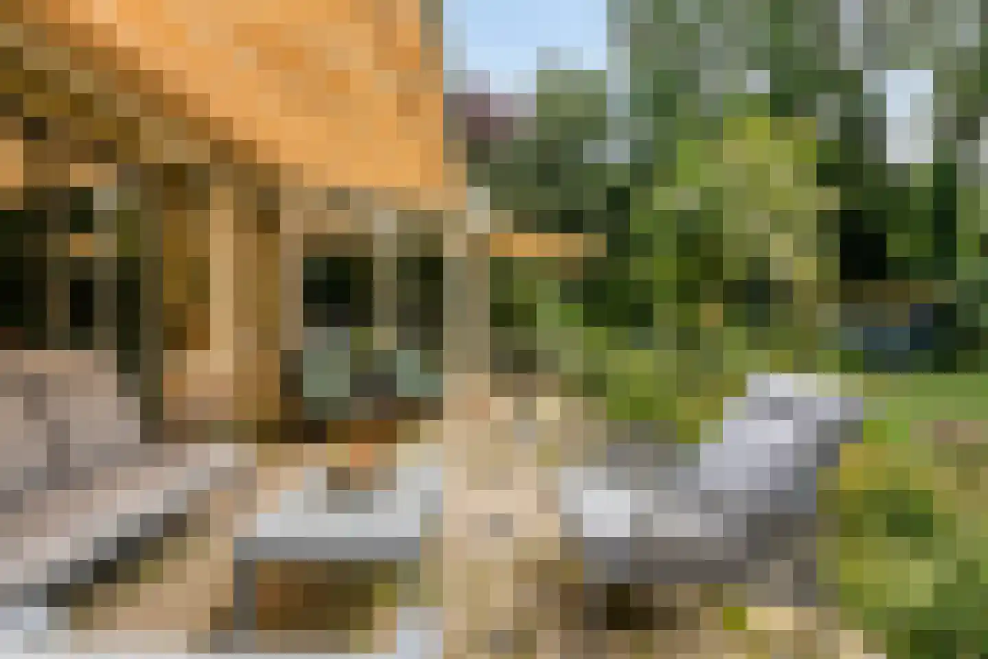 Bloemenstraat 1 Ridderkerk thumbnail 72