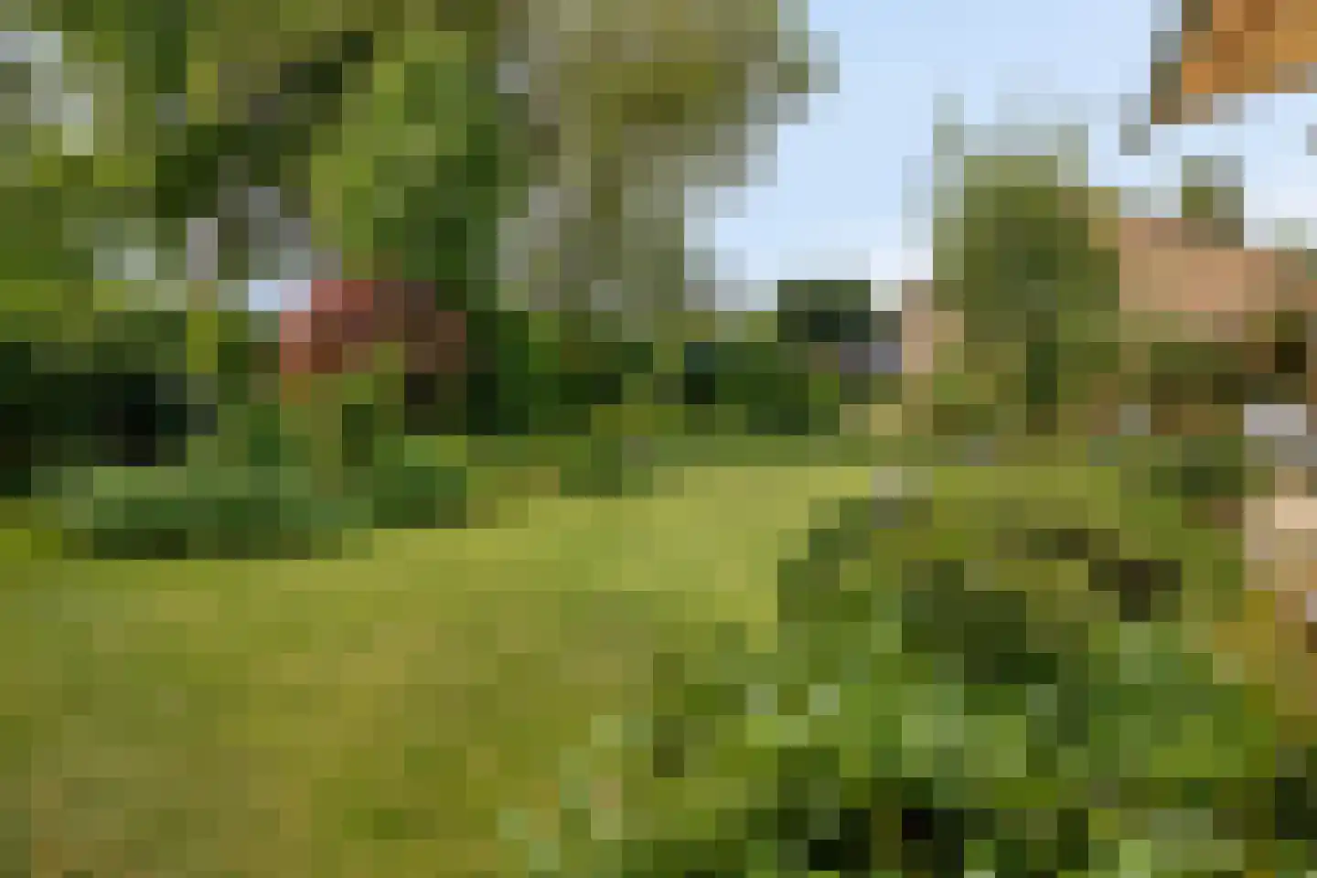 Bloemenstraat 1 Ridderkerk thumbnail 80