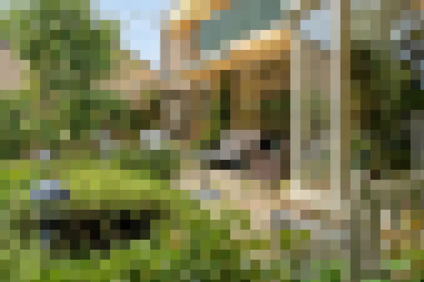 Bloemenstraat 1 Ridderkerk thumbnail 82
