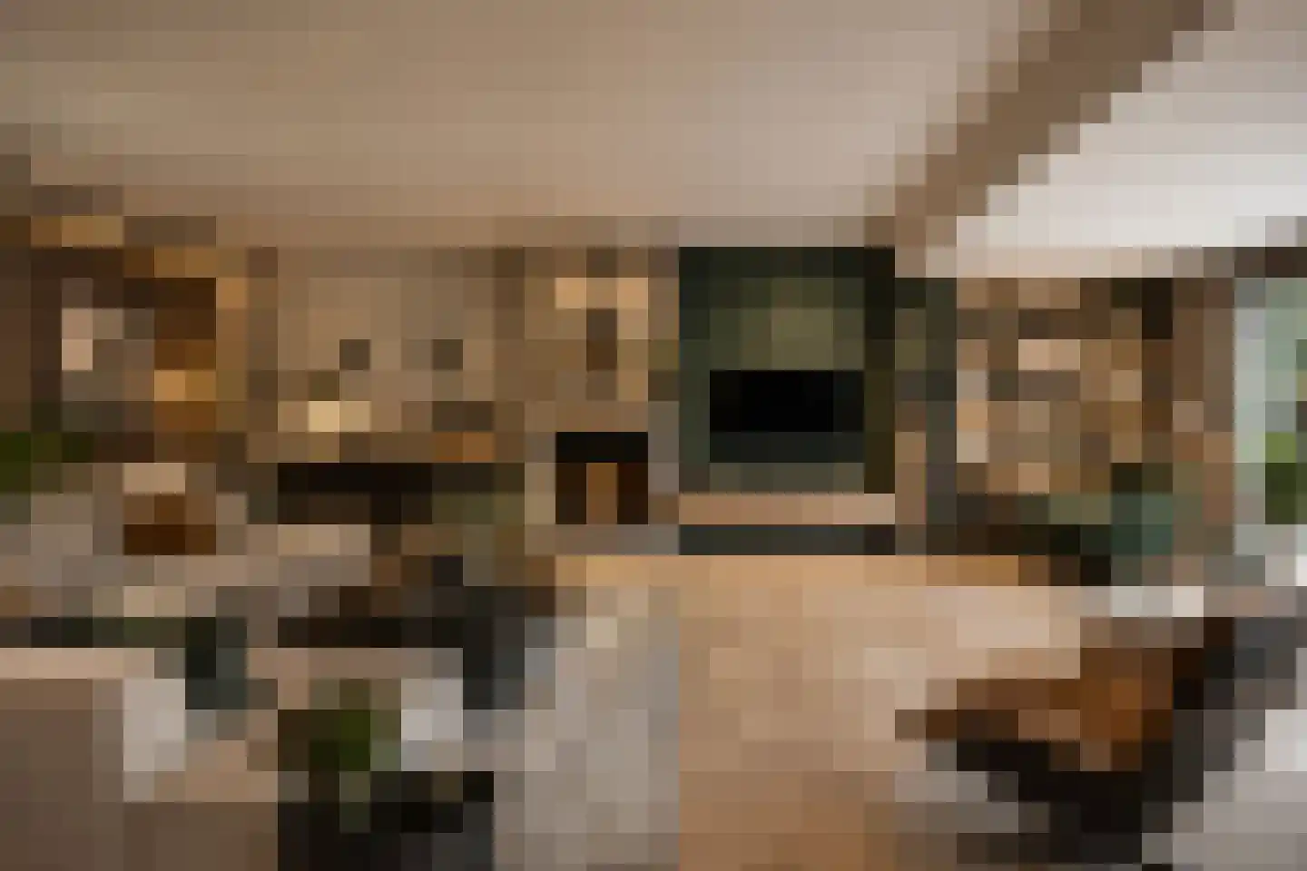 Bloemenstraat 1 Ridderkerk thumbnail 9