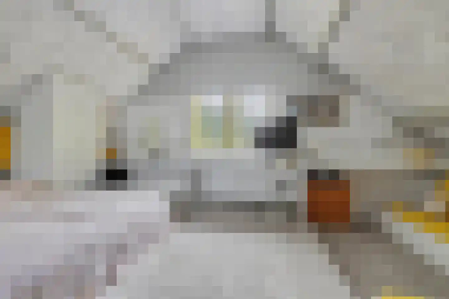 Bloemenstraat 10 Ridderkerk thumbnail 21