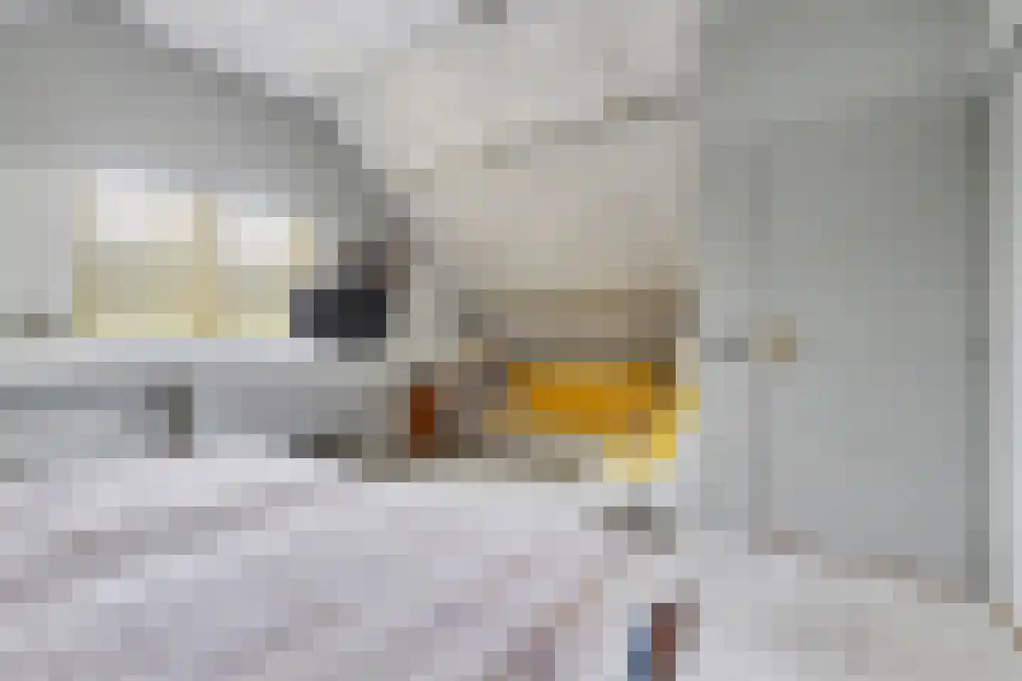 Bloemenstraat 10 Ridderkerk thumbnail 22