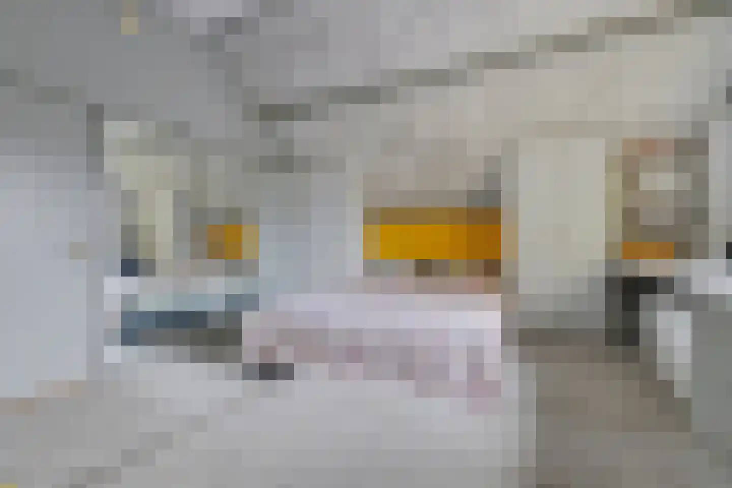 Bloemenstraat 10 Ridderkerk thumbnail 24