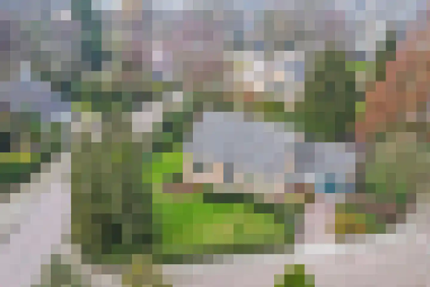 Bloemenstraat 10 Ridderkerk thumbnail 45