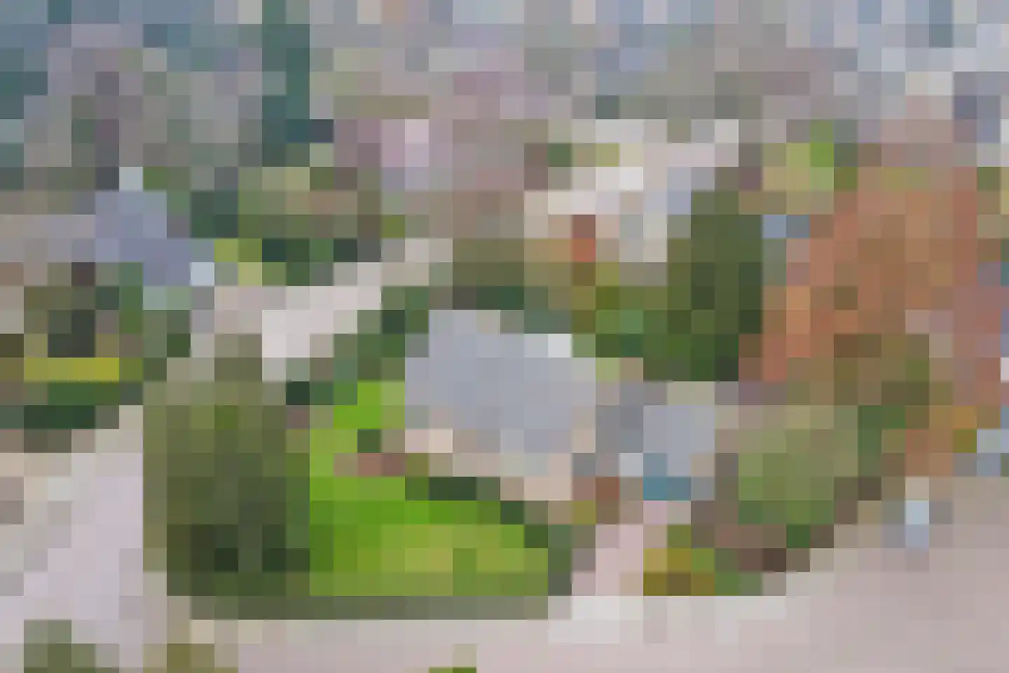 Bloemenstraat 10 Ridderkerk thumbnail 46