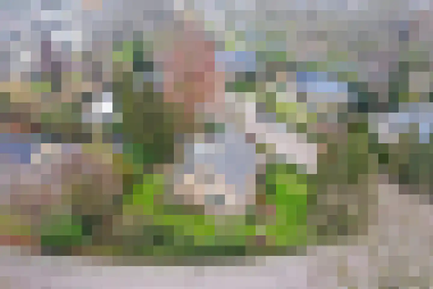 Bloemenstraat 10 Ridderkerk thumbnail 47