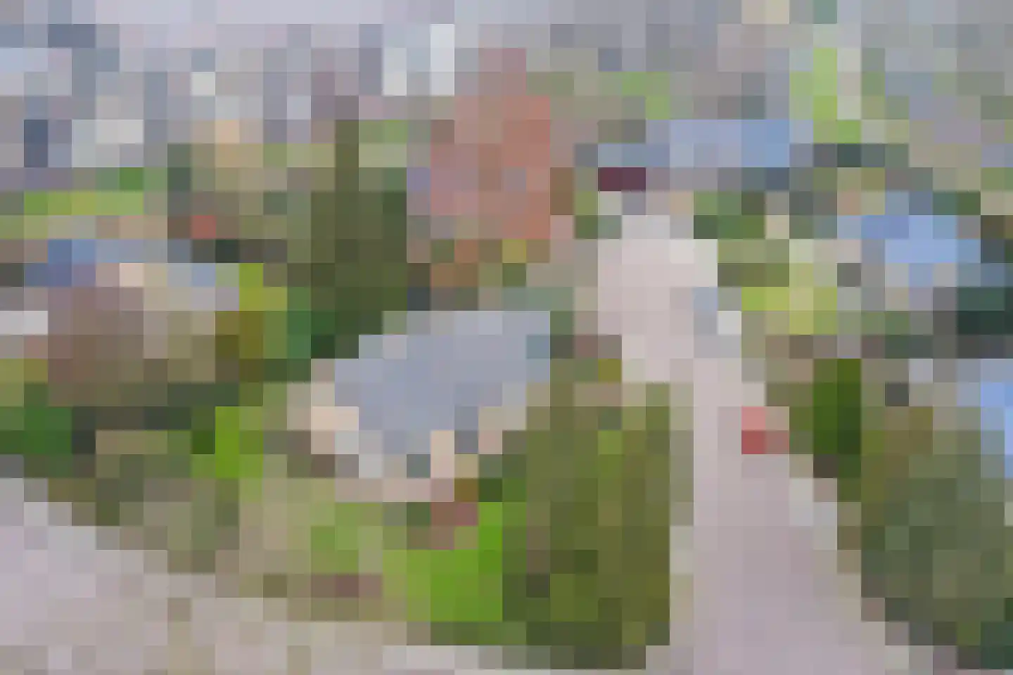 Bloemenstraat 10 Ridderkerk thumbnail 48