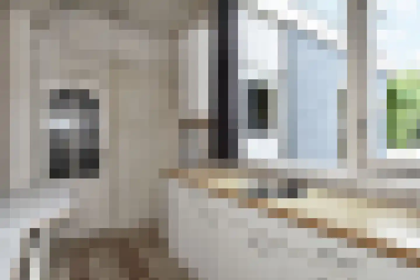 Bloemenstraat 12 Poeldijk thumbnail 7