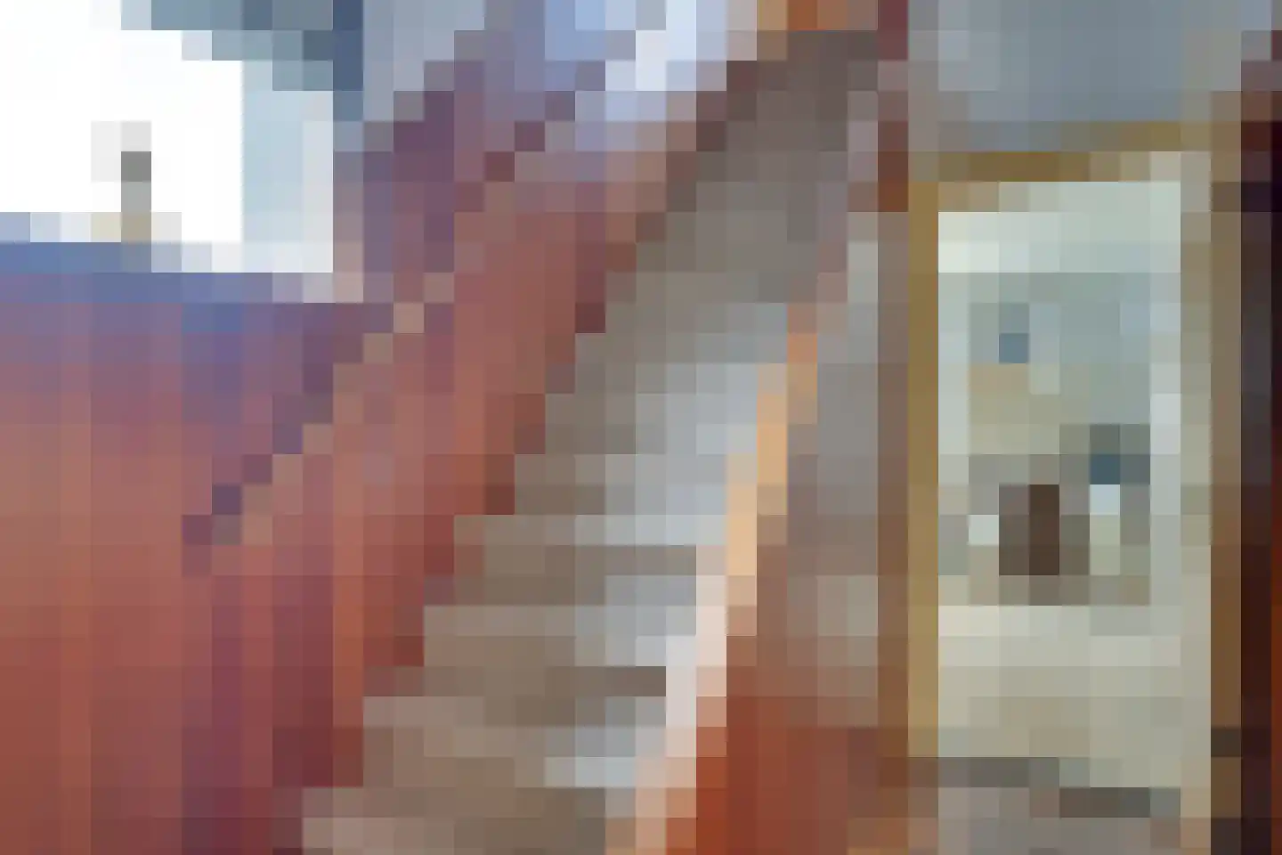 Bloemenstraat 15 Hilvarenbeek thumbnail 23