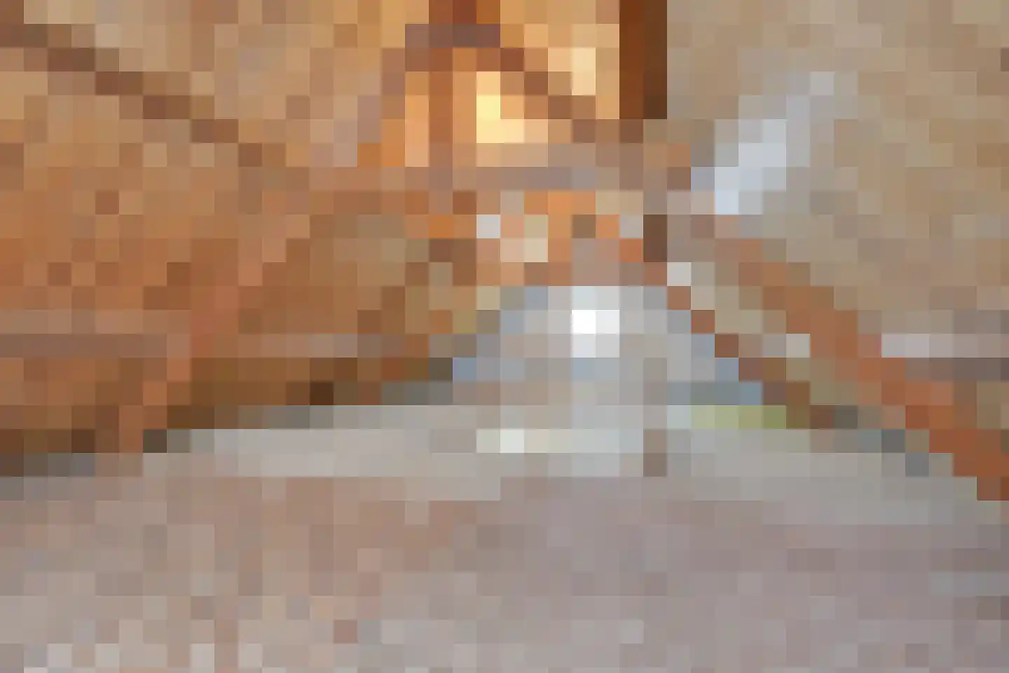 Bloemenstraat 15 Hilvarenbeek thumbnail 29