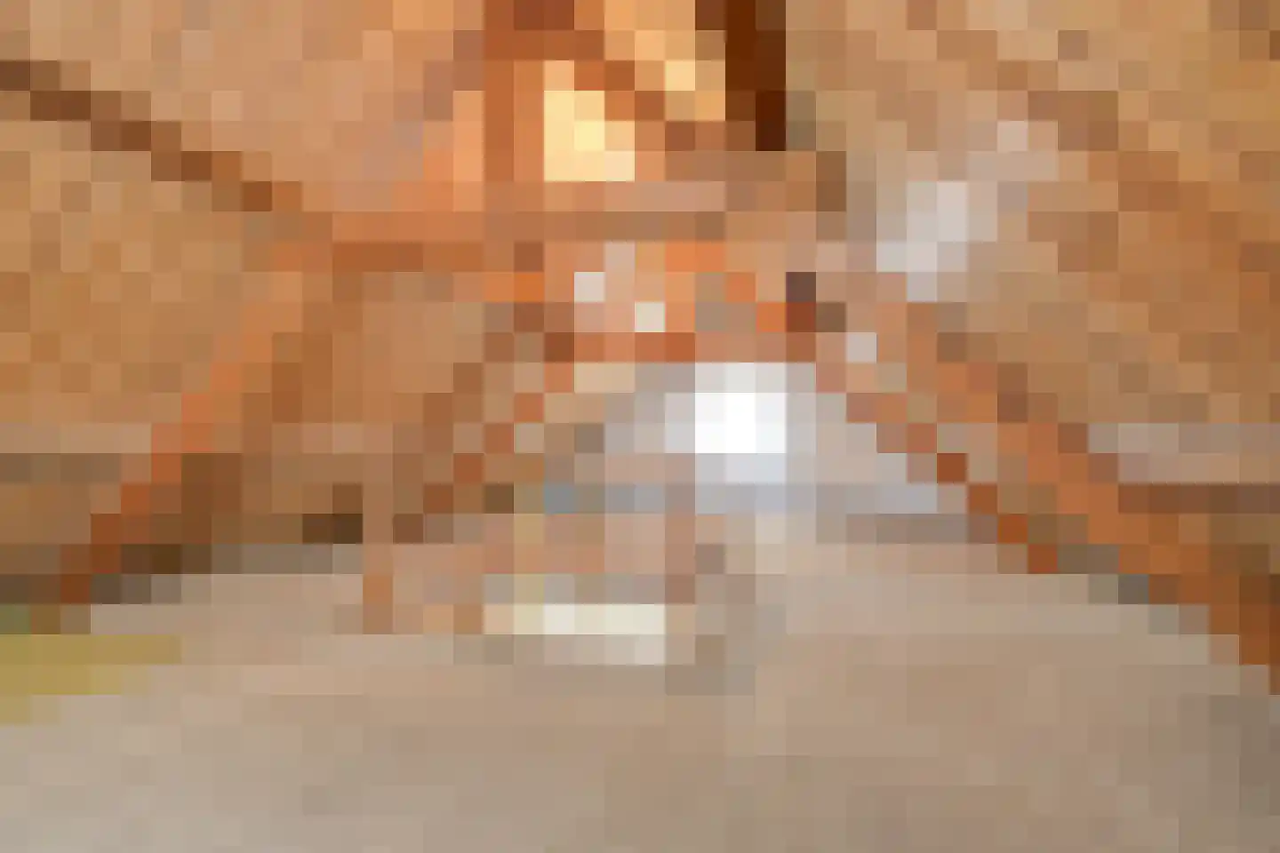 Bloemenstraat 15 Hilvarenbeek thumbnail 30