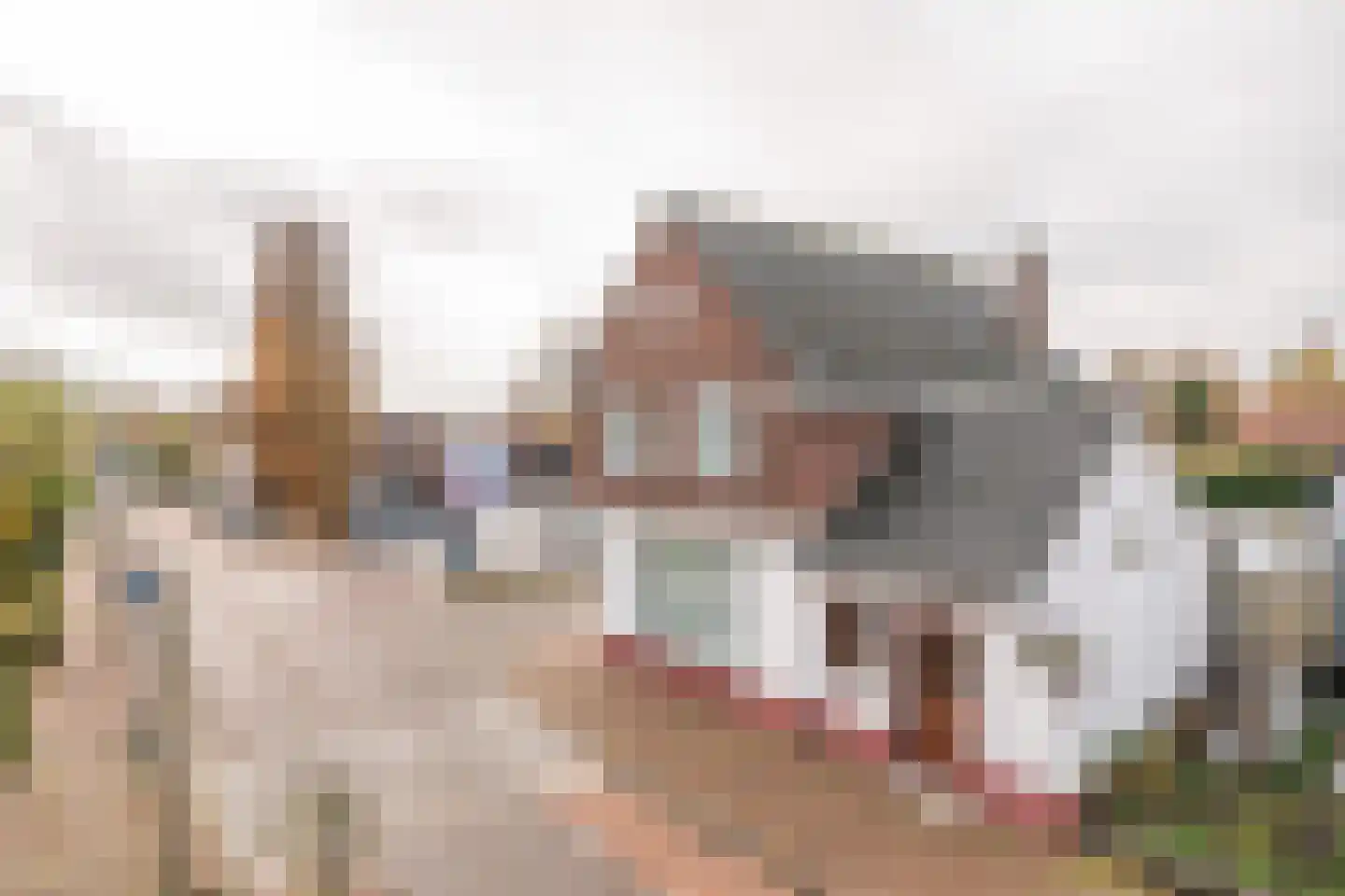Bloemenstraat 15 Hilvarenbeek thumbnail 7