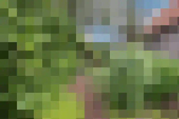 Bloemenstraat 18 Hilvarenbeek thumbnail 35