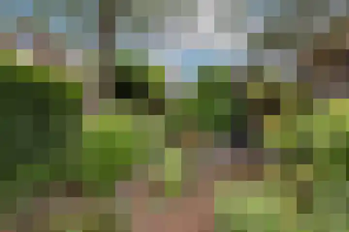 Bloemenstraat 18 Hilvarenbeek thumbnail 36