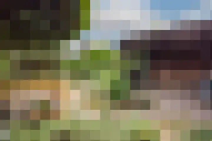 Bloemenstraat 18 Hilvarenbeek thumbnail 37