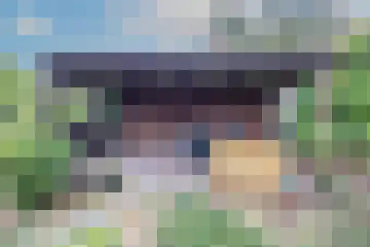 Bloemenstraat 18 Hilvarenbeek thumbnail 38