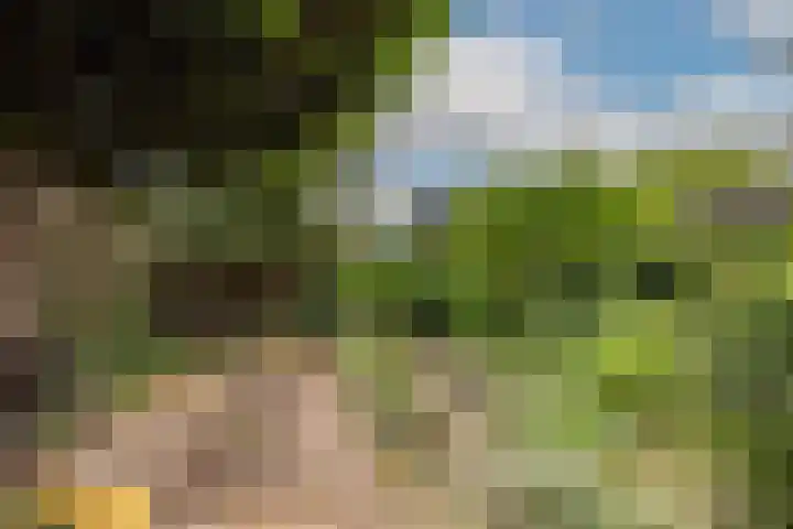 Bloemenstraat 18 Hilvarenbeek thumbnail 39