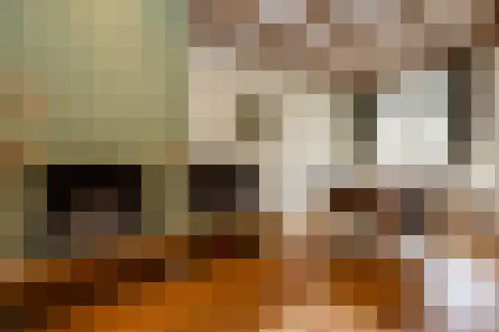 Bloemenstraat 18 Hilvarenbeek thumbnail 5