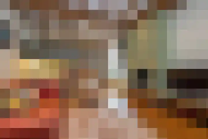 Bloemenstraat 18 Hilvarenbeek thumbnail 6