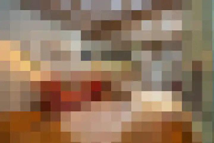 Bloemenstraat 18 Hilvarenbeek thumbnail 7