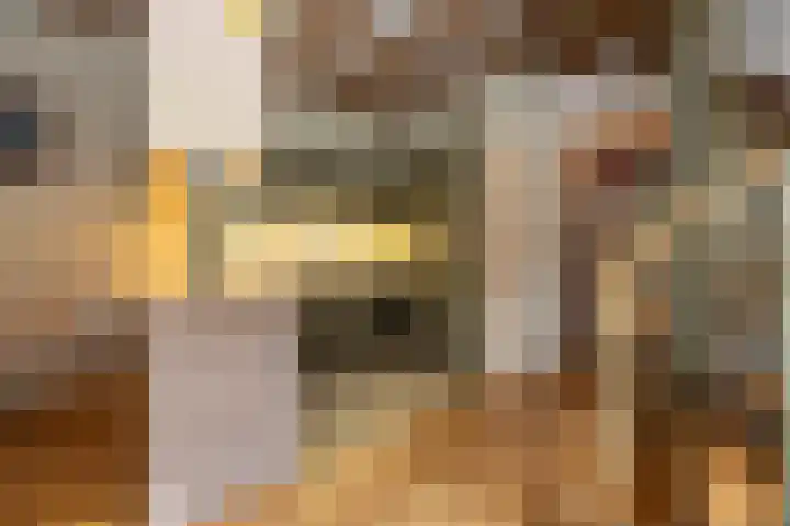 Bloemenstraat 18 Hilvarenbeek thumbnail 8