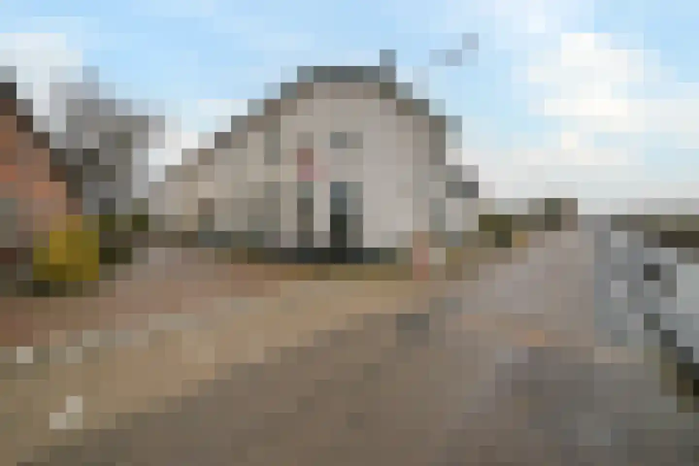 Bloemenstraat 21 Poeldijk thumbnail 17