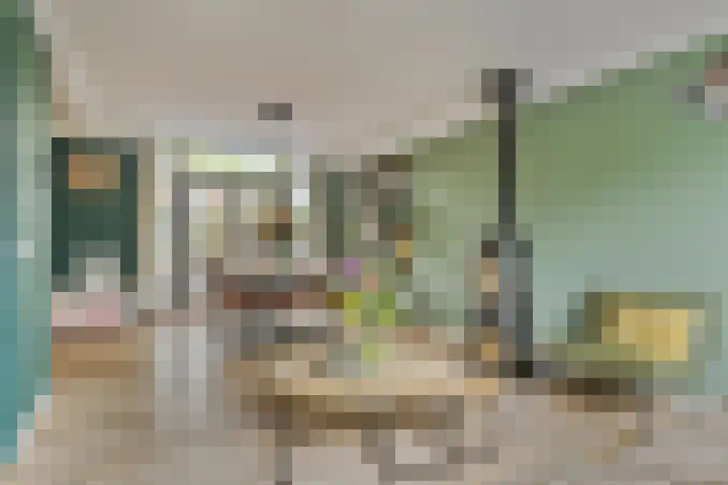 Bloemenstraat 24 Ridderkerk thumbnail 10