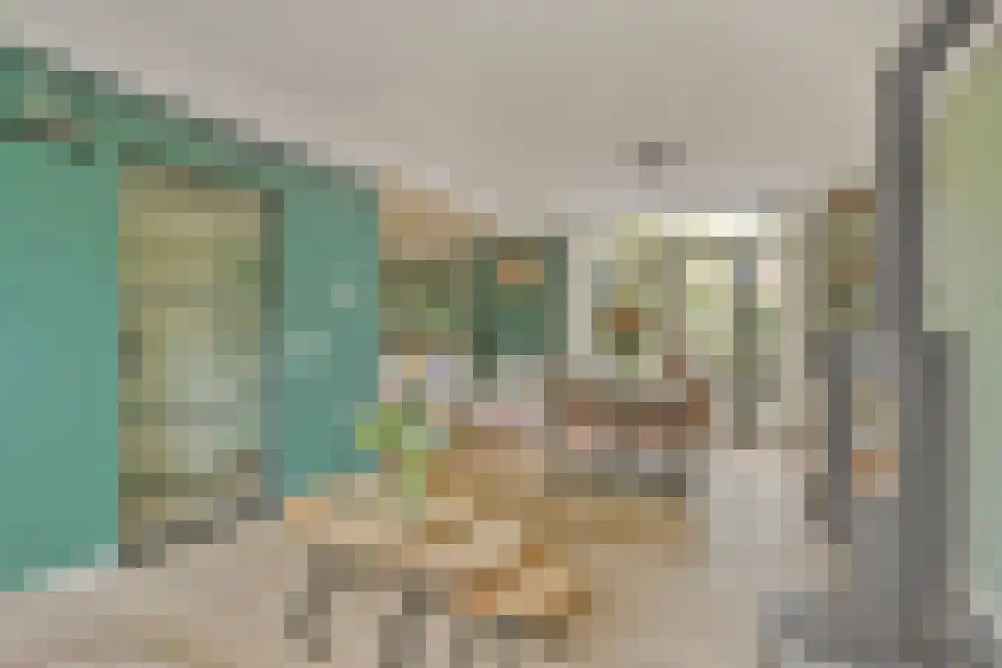 Bloemenstraat 24 Ridderkerk thumbnail 11